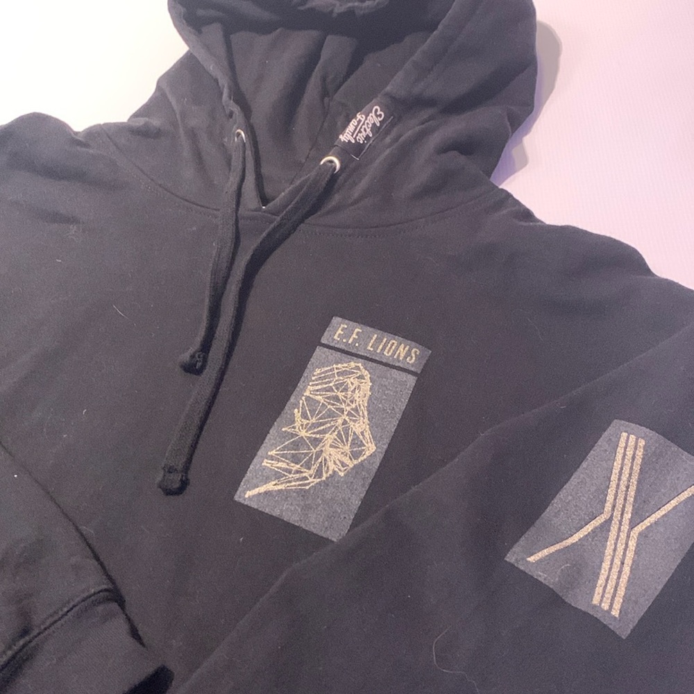 Electric Family hoodie
